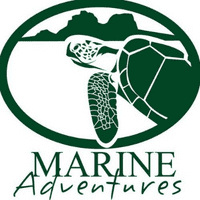 Marine Adventures