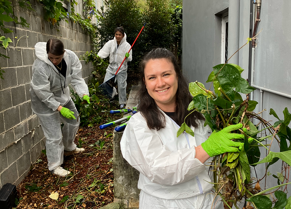 Working bees in Lindfield
