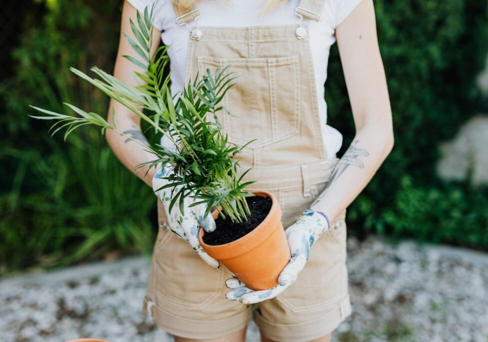 Working Bees at our Inner West and Northern Beaches Properties